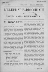 Bollettino parrocchiale di S. Maria della Carità