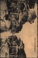 PINETA DI RAVENNA