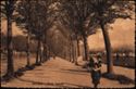 Ferrara - Viale Cavour