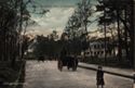 Kongi. Djurgarden, Parti vid Belimansro V