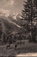 JJ. 7754 Chamonix