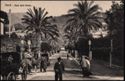 Nervi - Viale delle Palme.