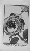 La rosa d'Italia e i vermi