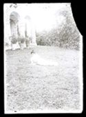 Una giovane donna sdraiata su un fianco nel giardino davanti al loggiato della villa di Gaibola, detta la Vigna: Bologna