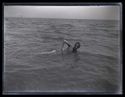 Guido Guerrini sdraiato su un fianco nell’acqua del mare: Bellaria