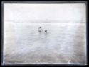 Tre bambini fanno il bagno in mare: Bellaria