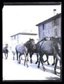Il passaggio dei cavalli fuori porta Lame: Bologna