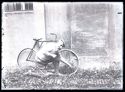 Olindo Guerrini inginocchiato, gonfia la ruota anteriore della bicicletta nel cortile interno della Biblioteca Universitaria di Bologna
