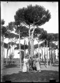 Antonietta Matteucci e Lina Guerrini sedute sull’erba, Maria Nigrisoli, Delia Poletti, un bambino, Guido Guerrini e Caterina Frontali in piedi, in posa, nella pineta di Classe presso Ravenna