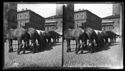 La sosta dei cavalli delle Vetture pubbliche di Piazza: piazza del Nettuno: Bologna