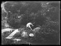 Guido Guerrini rannicchiato tra la vegetazione nei pressi della sorgente dell’Arno: 29 luglio 1891