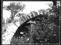 L’ arcata di un ponte romano tra la vegetazione con sopra un uomo: appennino tosco-romagnolo