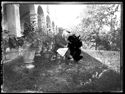 Olindo Guerrini seduto su una sedia con la pipa in mano e il giornale Il Resto del Carlino, nel giardino davanti al loggiato della villa di Gaibola, detta la Vigna: Bologna