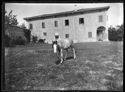 Il cavallo Moscatello nel giardino sul lato est della villa di Gaibola, detta la Vigna: Bologna