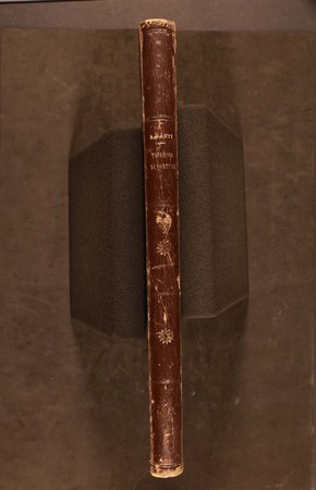 Raro D. 7 01