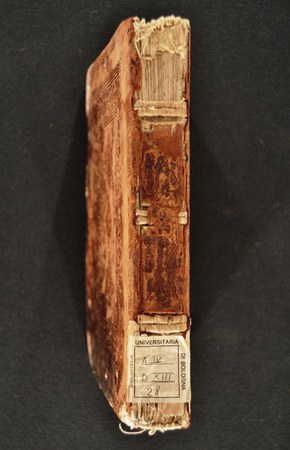 A.IV.D.XIII.28 02.JPG