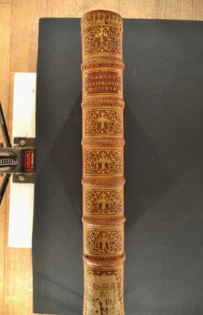 A.IV.F.III.14 06.JPG