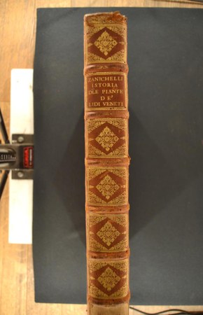 A.IV.F.III.16 02.JPG
