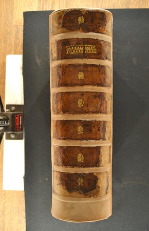 A.M.GG.II.24-2 02.JPG