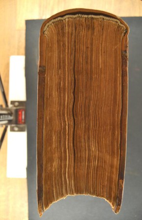 A.M.GG.II.24-2 04.JPG