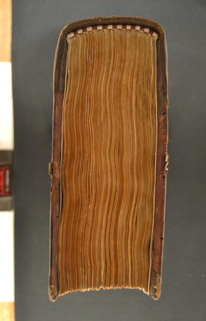 A.M.NN.VII.12 06.JPG