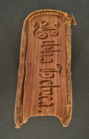 A.M.OO.III.41 04.JPG