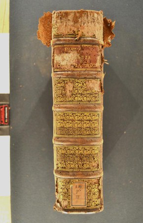 A.M.P.III.5 - 1 04.JPG