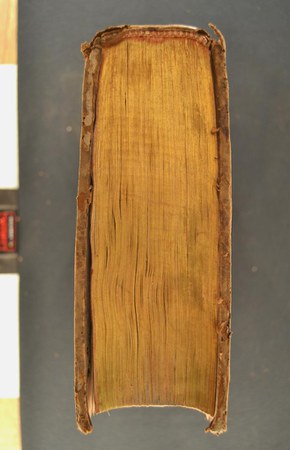 A.M.P.III.5 - 1 06.JPG