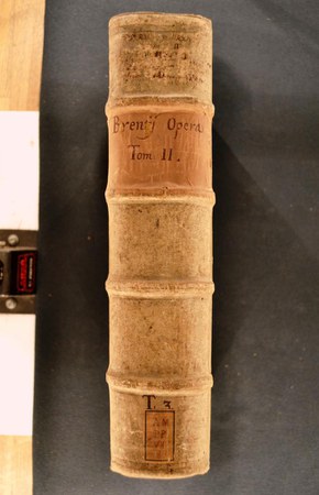 A.M.PP.VII.8-2 06.JPG