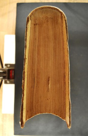 A.M.PP.VII.8-2 07.JPG