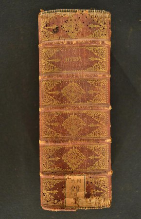 A.M.QQ.I.48 PARS HYEMALIS 02.JPG