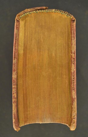 A.M.QQ.I.48 PARS HYEMALIS 04.JPG