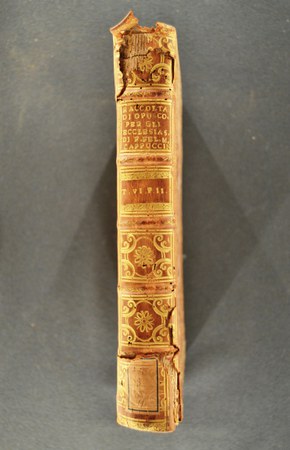 A.M.S.VII.11.6 -2 02.JPG