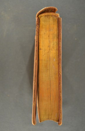 A.M.S.VII.11.6 -2 03.JPG