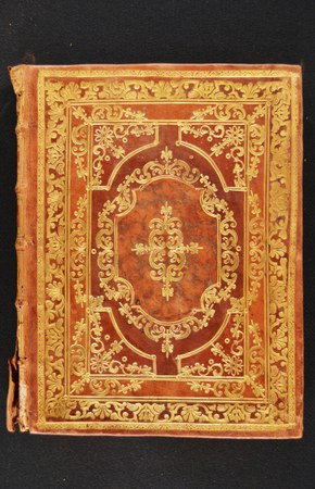 A.M.S.VII.11.6 -2.JPG