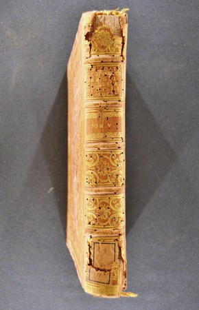 A.M.S.VII.11-5 02.JPG