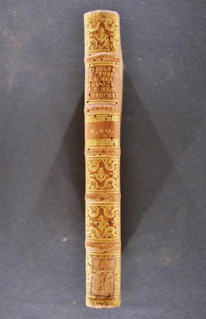 A.M.S.VII.11-7 02.JPG