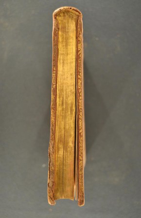 A.M.S.VII.11-7 03.JPG