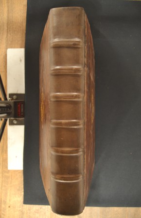 A.M.SS.II.14-1 02.JPG