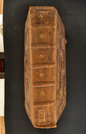 A.M.SS.VII.18 02.JPG