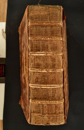 A.M.SS.VII.24 02.JPG