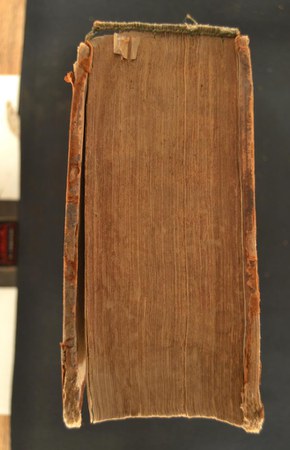 A.M.SS.VII.24 03.JPG