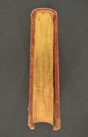 A.M.U.VIII.40 02.JPG