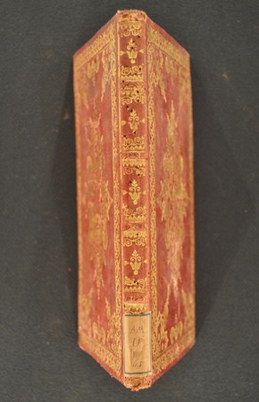 A.M.U.VIII.45 02.JPG