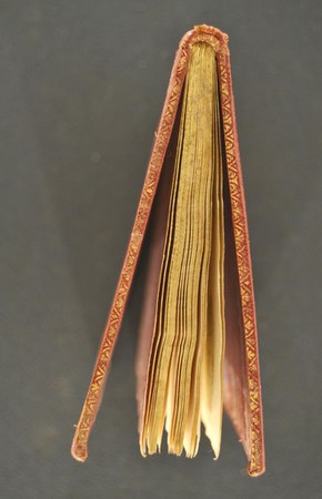 A.M.U.VIII.45 03.JPG