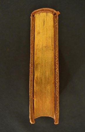 A.M.U.VIII.47 04.JPG