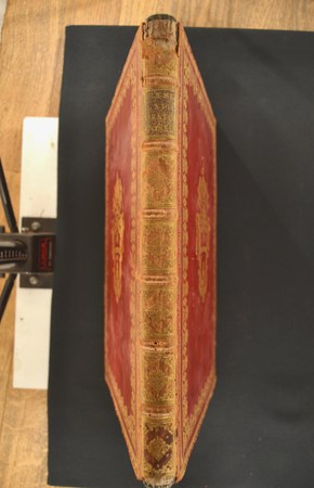 A.M.UU.VII.38 02.JPG