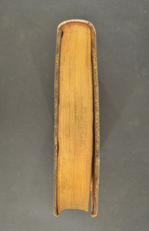 A.M.Y.VII.27-1 07.JPG