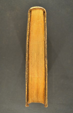 A.M.Y.VII.27-3 04.JPG