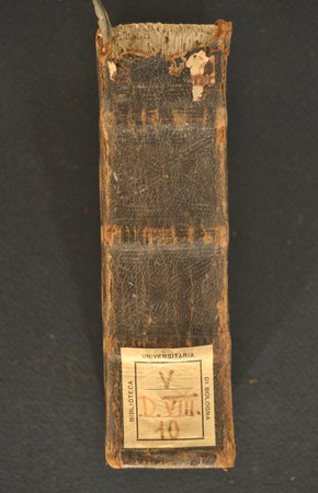 A.V.D.VIII.10 01.JPG